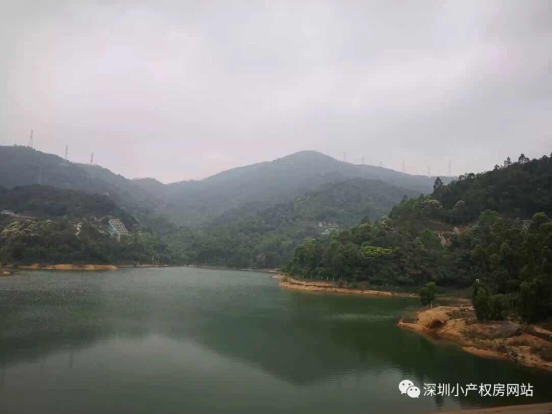 山水綠園一房一廳56平方，56.8萬/套起